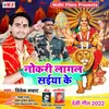 About Nokari Lagal Saiya Ke (Bhojpuri) Song