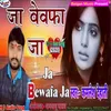 About Ja Bewafa Ja Song