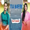 About Tu Meri Zindegi (Hindi) Song