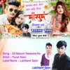 About Dil Masum Deewana Singer Puran Saini (Hindi) Song