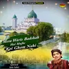 Mera Waris Badshah Hai Mujhe Koi Gham Nahi (Islamic)