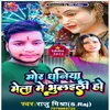 About Mor Dhaniya Mela Me Bhulaili Ho Song