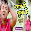 About Hamra Ke Bhula Ke (Bhojpuri Song) Song