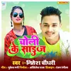 About Choli Ke Size (bhojpuri) Song
