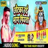 About Chotka Hai Bhang Piyta (Bhakti Song) Song