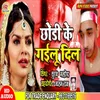 About Chhodi Ke Gailu Dil Song