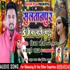 About Sultanpur Ke Mela Song