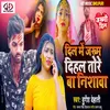 About Dil Me Jakham Dihal Tore Ba Nisawa (Bhojpuri) Song