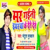 About Mar Gaini Yarawa Ke Dete Dete (Bhojpuri) Song