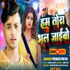 Hum Tora Bhul Jaybo (Maithili Song)