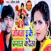 About Jobna Chu Ke Pranam Karela (Bhojpuri Song) Song