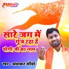 About Sare Jag Mein Guj Rha Hai Yogi Ji Ka Name (hindi) Song