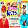 About Khojo Holi Me Payelawa Kidhar Hai (Bhojpuri) Song