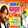 About Assam Ke Majanua Bjp Lover Ha (Bhojpuri) Song