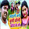About Aaise Jani Ghumi Choli Bandh Ke Ho (Bhakti Song) Song