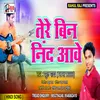 About Tere Bin Nind Na Aawe (Bhojpuri Song) Song