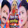 About Dil Tera Aashiq (Bhojpuri) Song