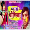 About Holi Song (Holi New Song) Song