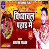 About Vindhyachal Pahad Me Song