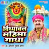 About Vindhyachal Mahima Gatha (Bhojpuri) Song
