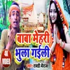 About Baba Mehari Bhula Gaili (Bolbam Song) Song