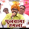 Pulwama Hamla (Hindi)