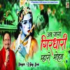 About Ab Jago Girdhari Mhara Mohan. (Hindi) Song