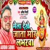 About Mela Dekhe Jata Loverwa (Devi Song) Song