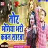 About Tor Mangiya Bhari Kavan Sarva Song