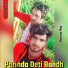 About Parinda Deti Bandh Song