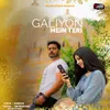 About Galiyon Mein Teri Song
