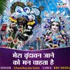 Mera Varndavan Jane Ko Ji Chahta Hai