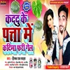 About Kadu Ke Patta Main Kadima Fari Gel Song