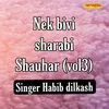 Nek Bivi Sharabi Shauhar Vol 03