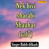Nek Bivi Sharabi Shauhar Vol 07