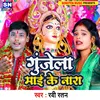 About Gunjela Maai Ke Naara (Bhojpuri) Song
