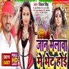 About Jan Melawa Me Bhet Hoi Ho (Devi Geet) Song