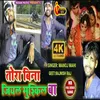 About Tora Bina Jiyal Muskil Ba (Bhojpuri) Song