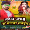 About Garhwa Palamu Se Chalta Dwaeye (BHOJPURI) Song