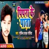 About Pipara Ke Pata (Bhojpuri Song) Song