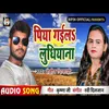 About Piya Gail Ludhiyana Song