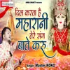 About Dil Karta Hai Maharani Tere Sang Baat Karu (Hindi) Song