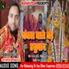 About Bandhwa Wale Bade Hanuman Song