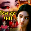 About Dil Tut Gaya (Hindi Sad Song) Song