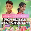 About Non Malom Nesengve Lofi Song