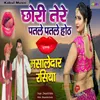 About Chhori Tere Patle Patle Hot Song