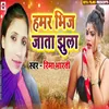 About Hamar Bhij Jata Jhula Song