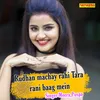 About Rudhan Machay Rahi Tara Rani Baag Mein Song