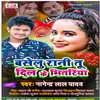 About Baselu Rani Dil Ke Bhetariya Song