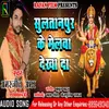 About Sultanpur Ke Melwa Dekha Da Song